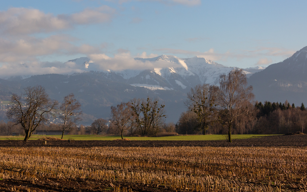 Lauteracherried im Jänner 68